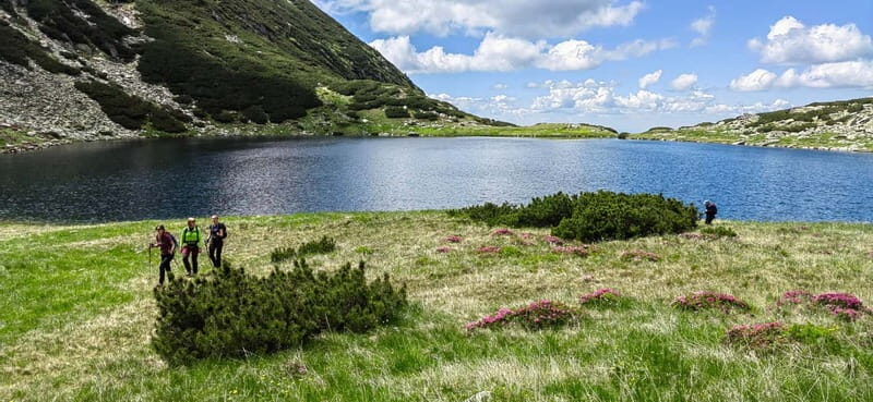 Retezat National Park: Full day hike from Cluj Napoca - Exploring the Full-Day Retezat Mountain Adventure