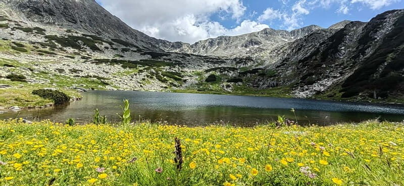 Retezat National Park: Full day hike from Cluj Napoca - Final Thoughts: Who Is This Tour For?