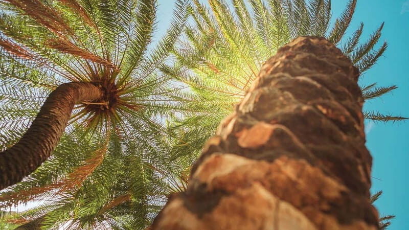 Rethymno Bali/Panormo:Preveli Palm Beach-Waterfall-Monastery - Transportation and Group Size