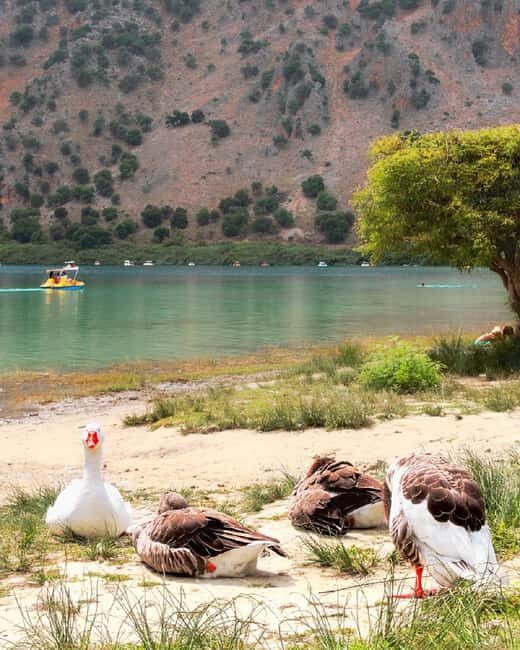 Rethymno City & Kournas Lake Tour from Chania - What’s Not Perfect