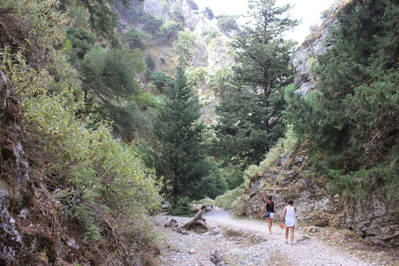 Rethymno: Imbros Gorge and Frangokastello Beach Hiking Tour - The Practicalities and Tips
