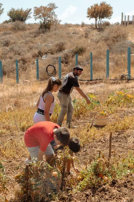 Rethymno: Shepherd For A Day - Frequently Asked Questions