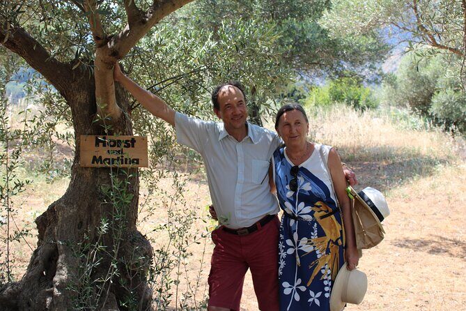 Rethymnon Olive Tree Sponsorship Protect and Plant Tour - An Honest Look at the Tour Experience