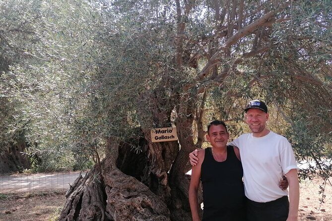 Rethymnon Olive Tree Sponsorship Protect and Plant Tour - Who Will Love This Tour?