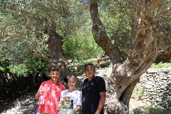 Rethymnon Olive Tree Sponsorship Protect and Plant Tour - Final Thoughts