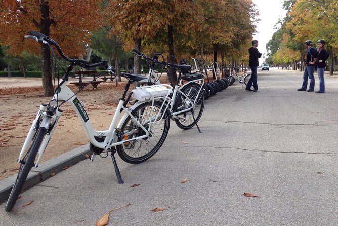 Retiro Park bike tour- Get transported to the XVI century - Cost & Value
