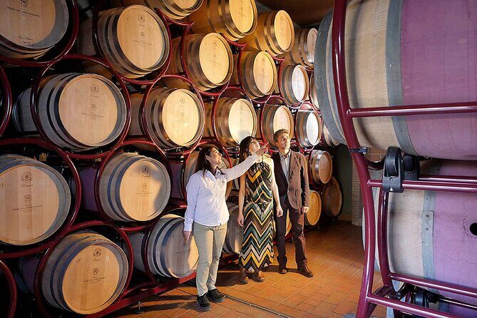 Retrospettiva di Marchesale Wine Tasting and Tour in Bolgheri - The Authentic Experience