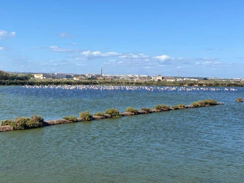 Return bike tour from Tavira to Olhão - FAQ