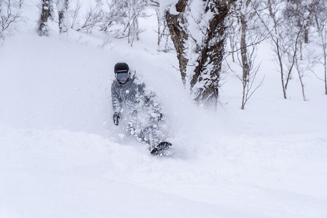 Revelstoke Mountain Photography Tours - What Is This Tour Exactly?