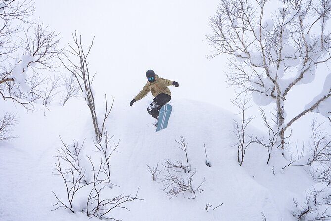 Revelstoke Mountain Photography Tours - What to Expect