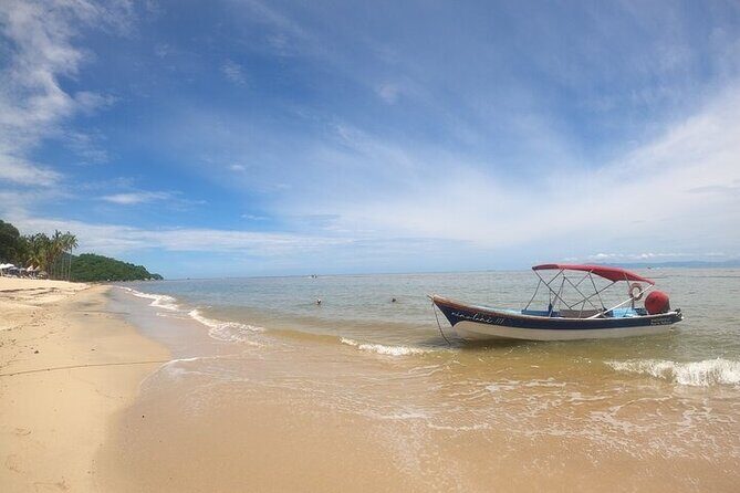 Rey Spearo - Enchanting And Romantic Custom Created Tours - A Deep Dive into the Horseback Jungle Tour