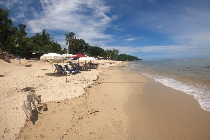 Rey Spearo - Enchanting And Romantic Custom Created Tours - Frequently Asked Questions