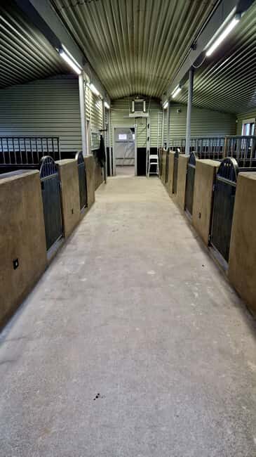 Reykjadalur: Horseback Riding Tour for Families & Beginners - The Ride Itself: Pros and Cons