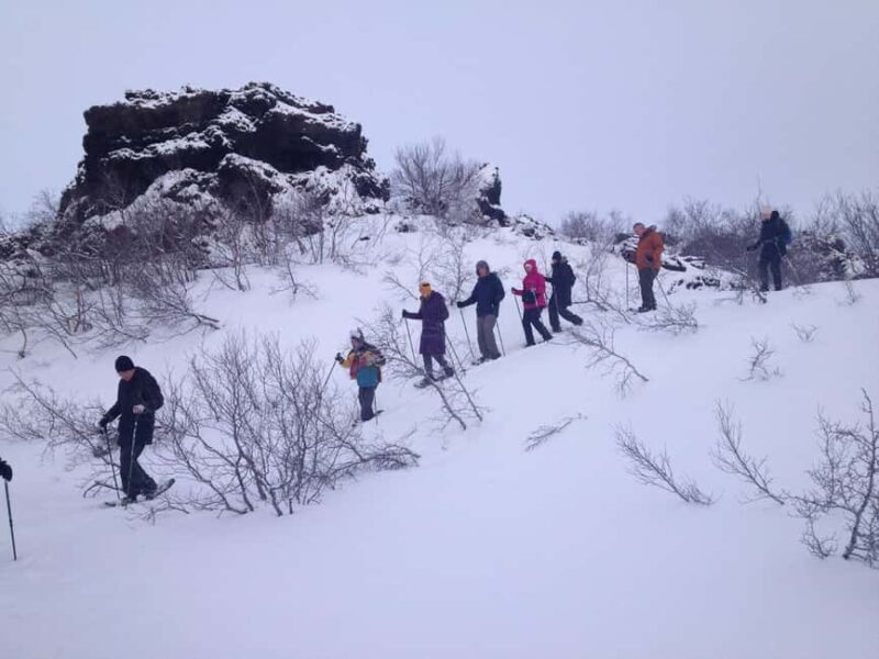 Reykjahlíð: Krafla Volcano Snowshoe Hike with Guide - Key Points