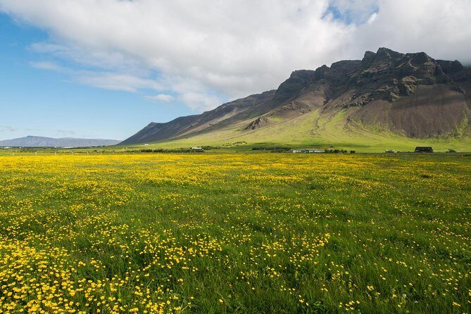 Reykjanes peninsula - Discovering the Reykjanes Peninsula: What’s in Store
