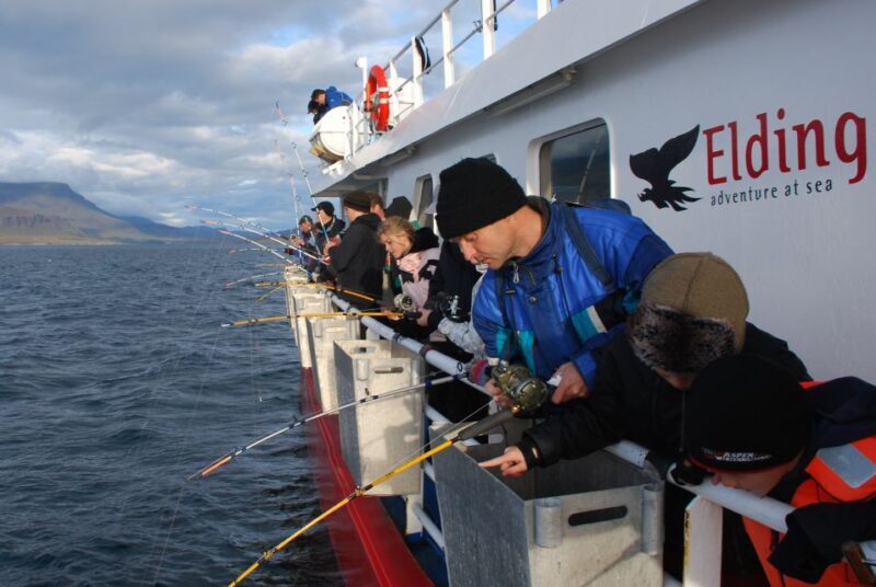 Reykjavik: 3-Hour Sea Angling Gourmet Experience Tour - The Experience for Families and Adventure Seekers