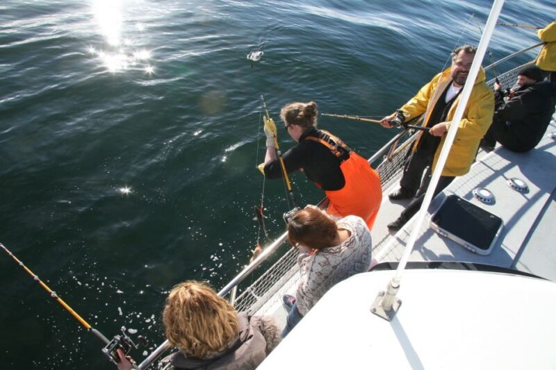 Reykjavik: 3-Hour Sea Angling Gourmet Experience Tour - Final Thoughts