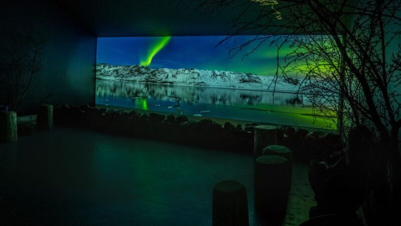 Reykjavik: Aurora Reykjavik The Northern Lights Center Entry - Who Will Love This Experience?