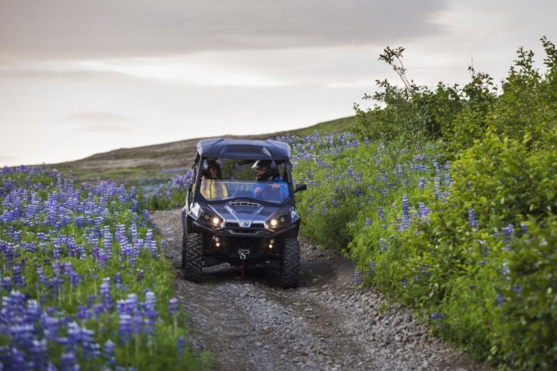 Reykjavik: Buggy Safari Tour with Hotel Transfers - Wrapping It Up: Who Will Love This Experience?