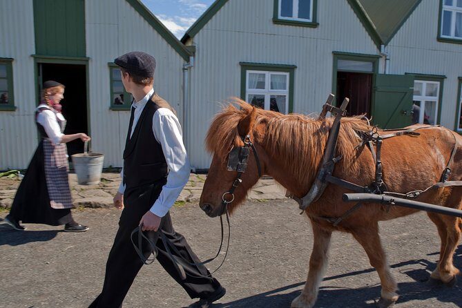 Reykjavik City Card 24-hour - Who Is This Tour Best For?