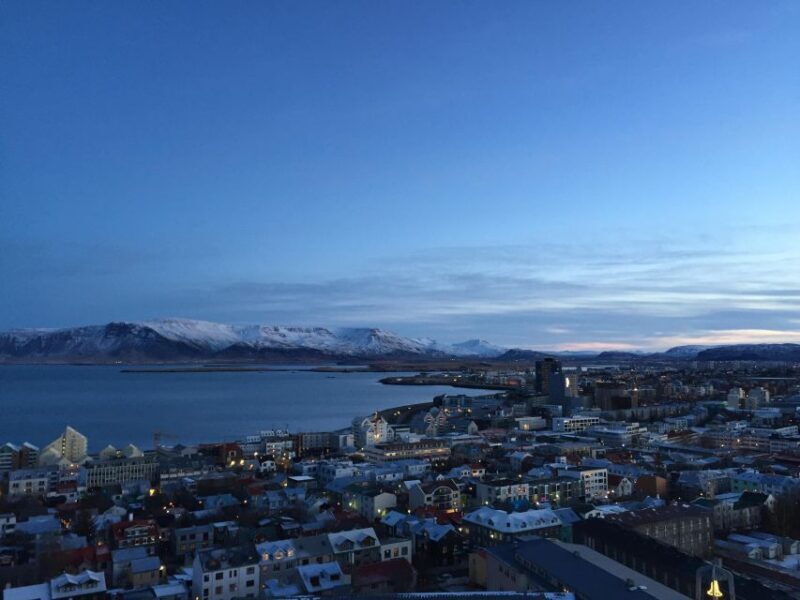 Reykjavik City - Half Day Private Tour - An Honest Look at the Reykjavik City – Half Day Private Tour