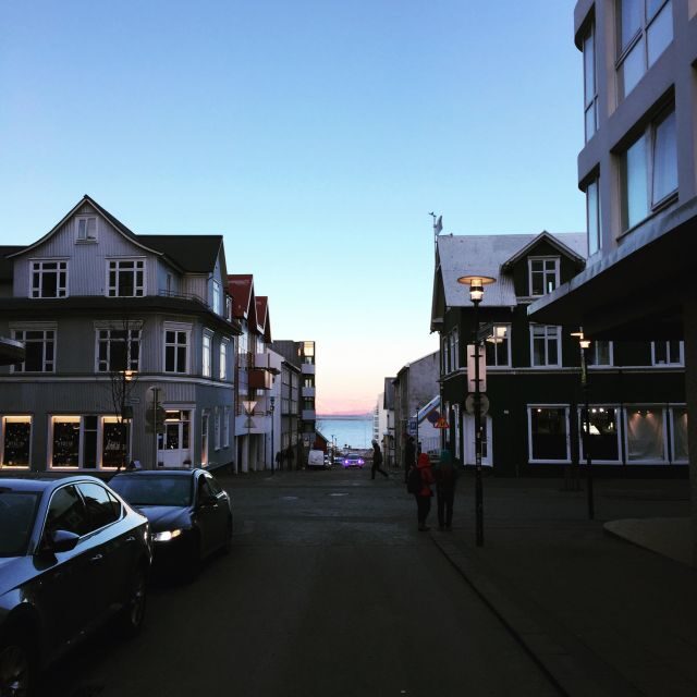Reykjavik City - Half Day Private Tour - Final Thoughts