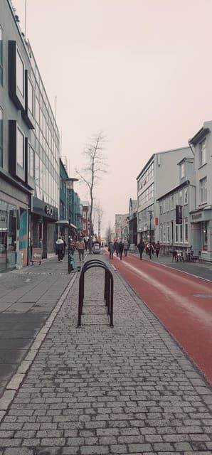 Reykjavik City private tour: Hallgrímskirkja, Perlan & More! - A Closer Look at the Tour