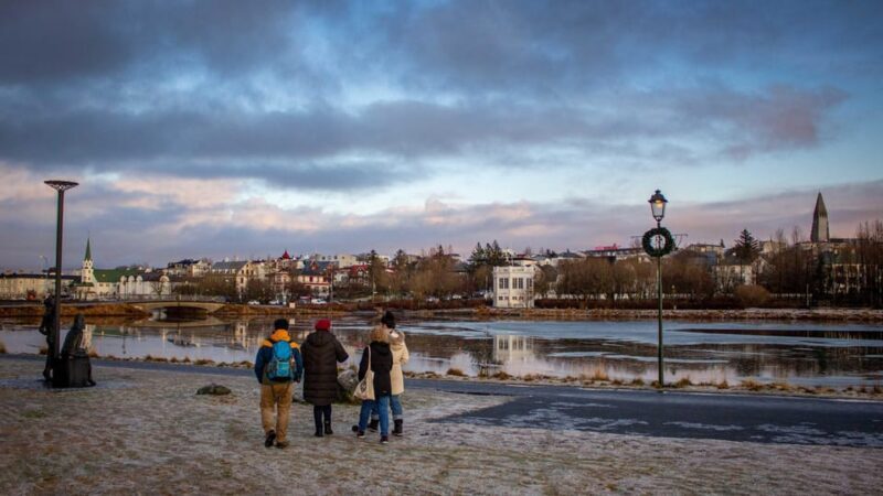 Reykjavik: Discover the Cultural Soul of Iceland - Key Points