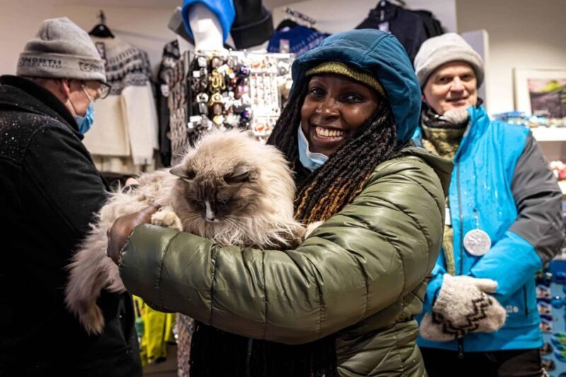 Reykjavik: Feline-Focused City Walking Tour - Key Points