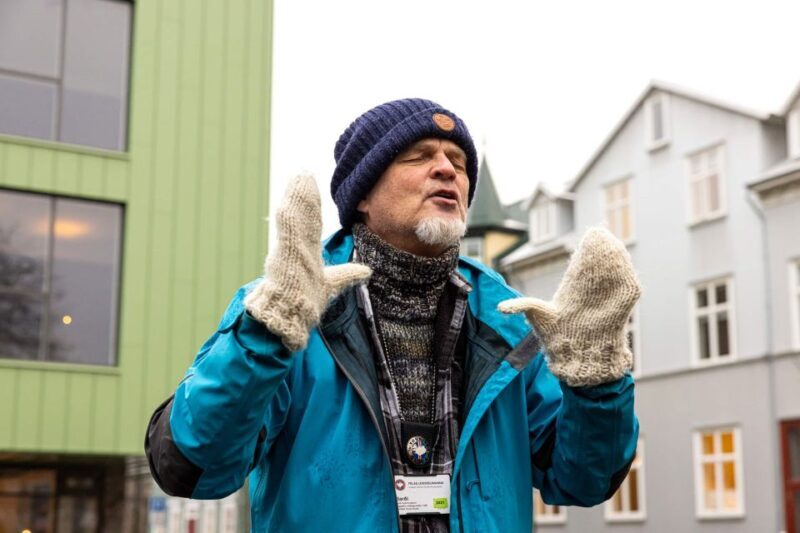 Reykjavik: Feline-Focused City Walking Tour - The Experience in Detail