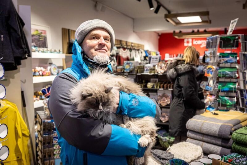 Reykjavik: Feline-Focused City Walking Tour - Who Is This Tour Best For?