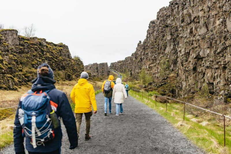 Reykjavik: Golden Circle, Crater & Blue Lagoon Minibus Tour - Who Is This Tour Best For?