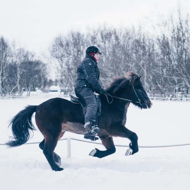 Reykjavik: Golden Circle, Fridheimar, & Sky Lagoon Day Trip - FAQ