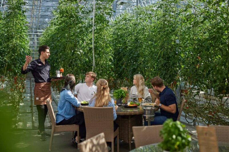 Reykjavík: Golden Circle, Laugaras Lagoon & Fridheimar - Pricing and Value