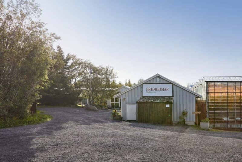 Reykjavík: Golden Circle, Laugaras Lagoon & Fridheimar - The Sum Up