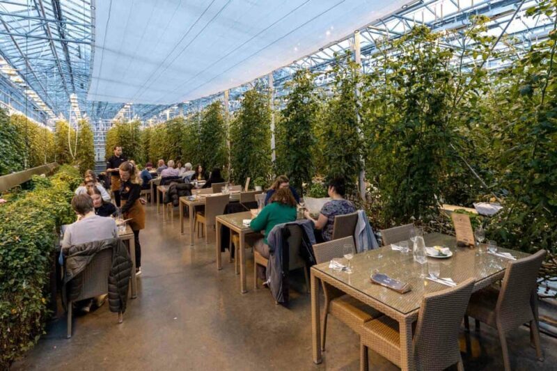 Reykjavik: Golden Circle with Laugarvatn Fontana Admission - Final Thoughts