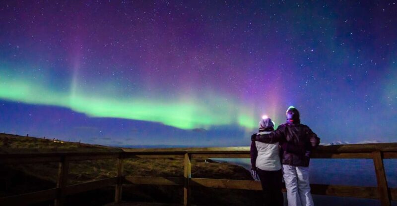 Reykjavík: Group Northern Lights Tour with Pics & Hot Cocoa - Who is This Tour Best For?