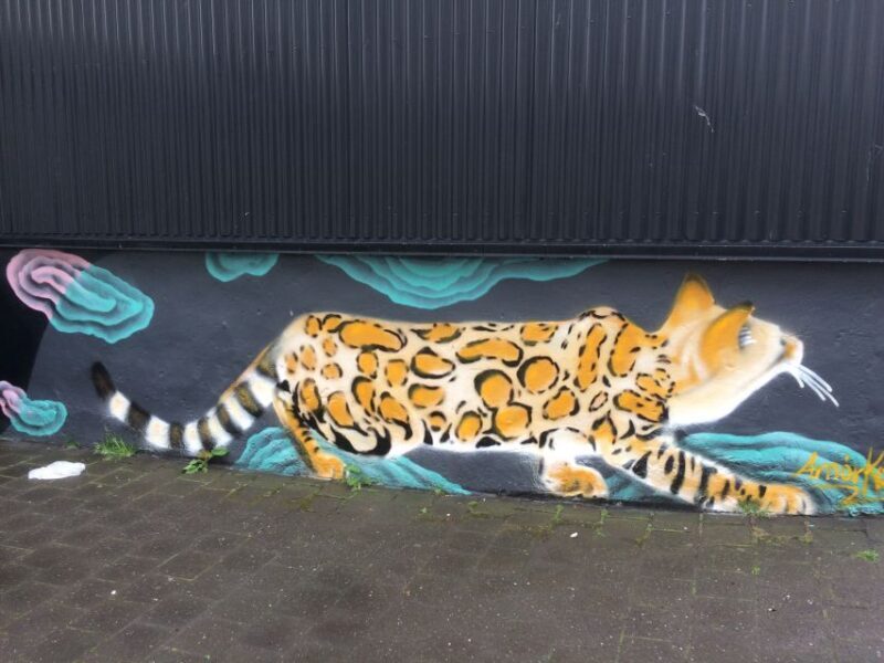 Reykjavik: Guided City Walking Tour - Pricing and Value