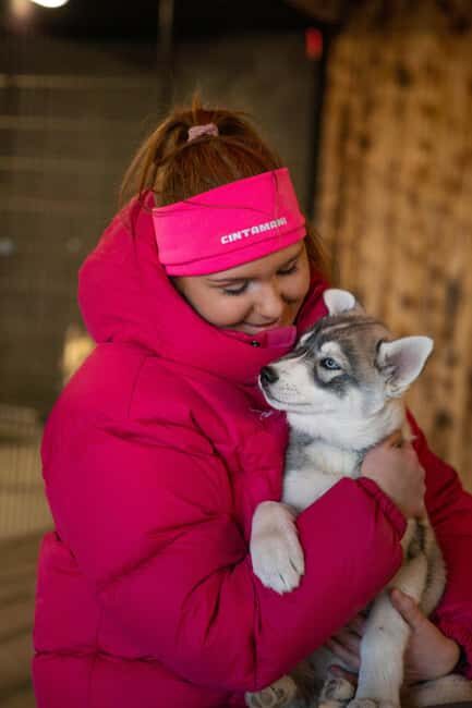 Reykjavík: Husky Kennel Visit with Hot Drinks - An Honest Look at What to Expect