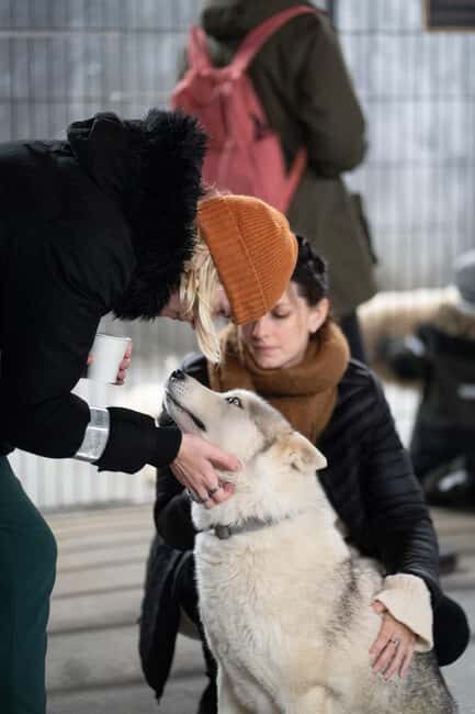 Reykjavík: Husky Kennel Visit with Hot Drinks - What We Loved About This Experience