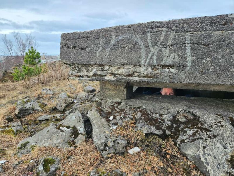 Reykjavik: Iceland's role in WWII - Private Day Trip - Who is this tour best suited for?