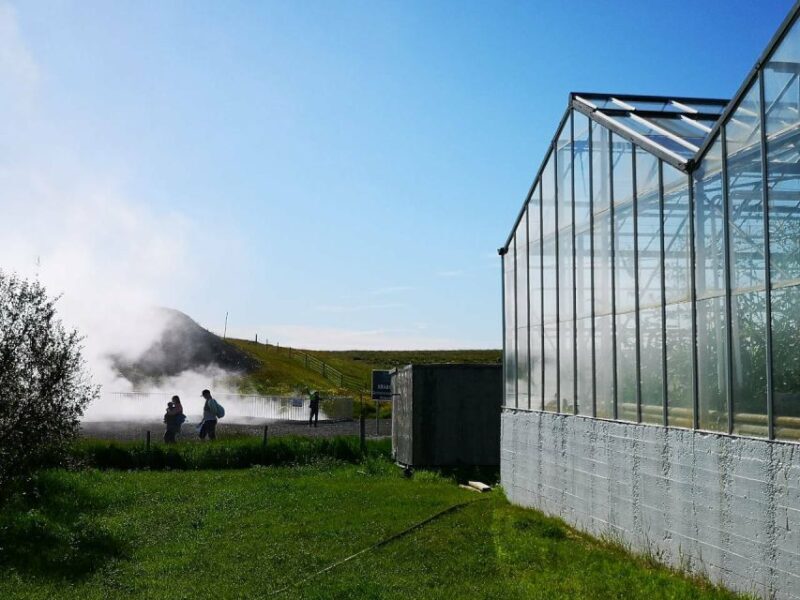 Reykjavik: Lava Cave, Hot Springs, Horses & Waterfalls Tour - Final Thoughts