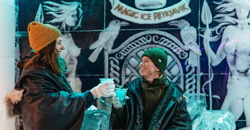 Reykjavik: Magic Ice Bar Entrance and Welcome Drink - The Sum Up