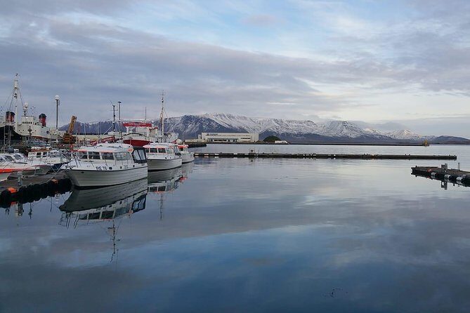 Reykjavik Main Sights and Hidden Spots: A Self-Guided Audio Walk - What’s Good About the Experience?