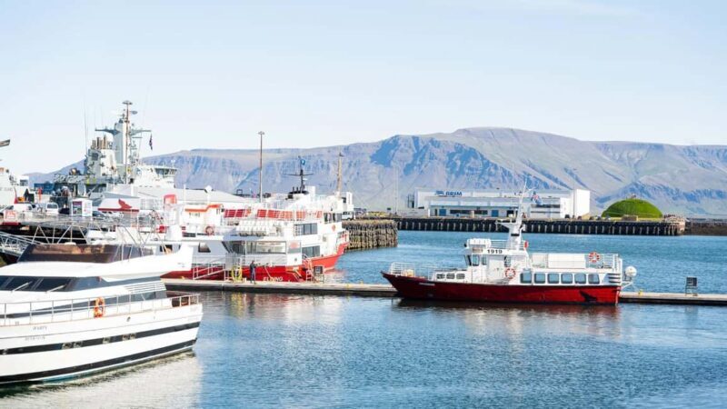 Reykjavik: Maritime History Walking Tour - The Sum Up