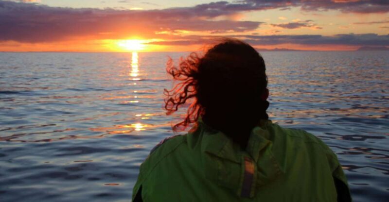 Reykjavík: Midnight Sun Whale Watching Cruise - Key Points