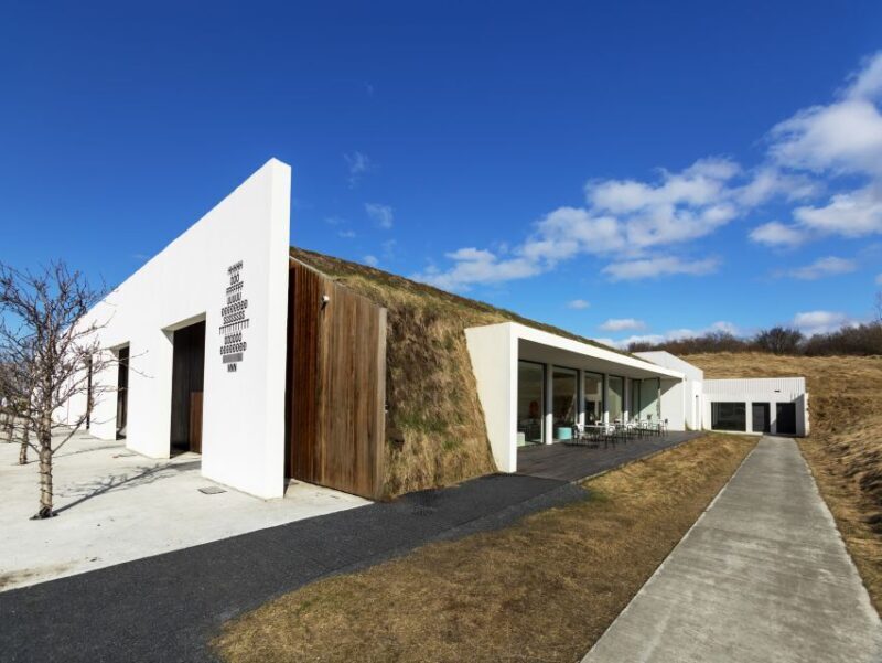 Reykjavík: Multi-Sensory Art Installation Chromo Sapiens - Who Is It Best For?