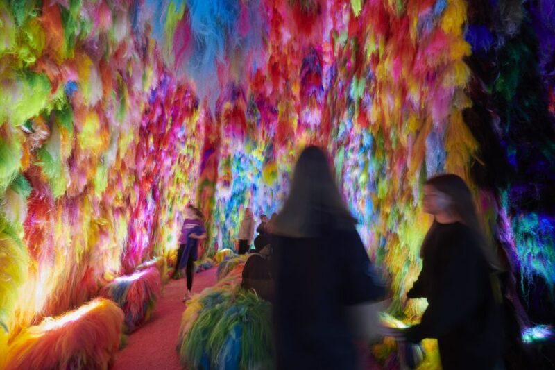 Reykjavík: Multi-Sensory Art Installation Chromo Sapiens - Final Thoughts