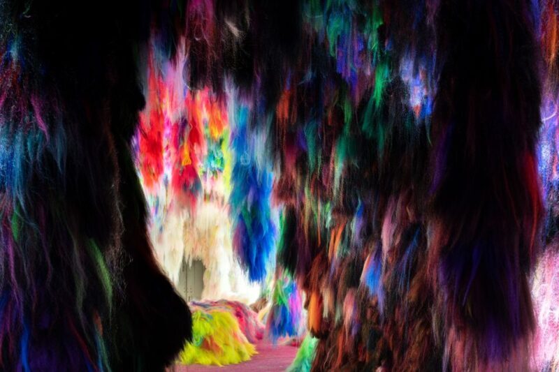 Reykjavík: Multi-Sensory Art Installation Chromo Sapiens - FAQ