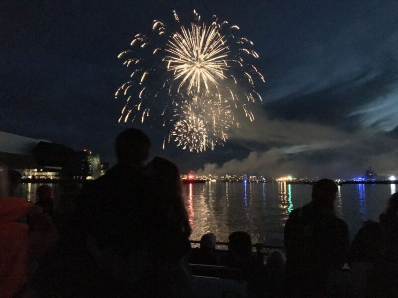 Reykjavik: New Year's Eve Fireworks Cruise - What to Expect on the Reykjavik New Years Eve Fireworks Cruise
